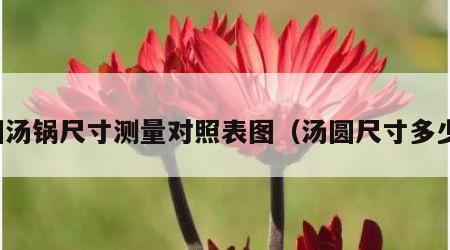 圆汤锅尺寸测量对照表图（汤圆尺寸多少）