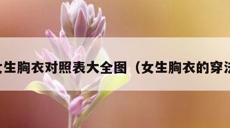 女生胸衣对照表大全图（女生胸衣的穿法）