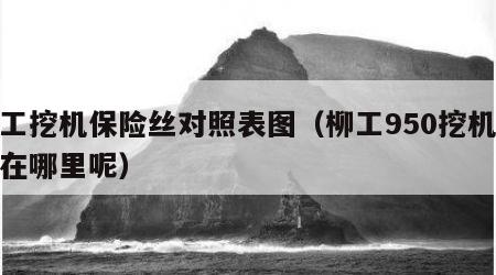柳工挖机保险丝对照表图（柳工950挖机保险在哪里呢）