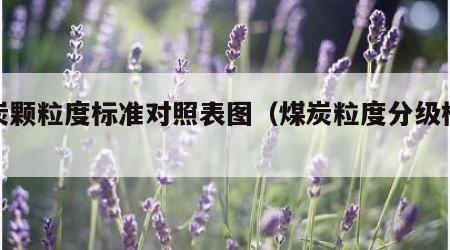 煤炭颗粒度标准对照表图（煤炭粒度分级标准）