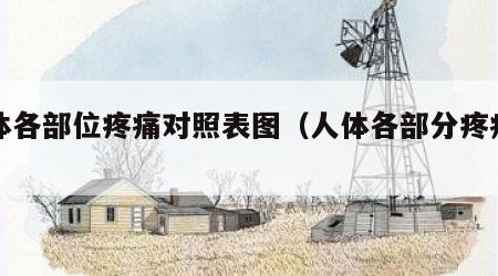 人体各部位疼痛对照表图（人体各部分疼痛区）