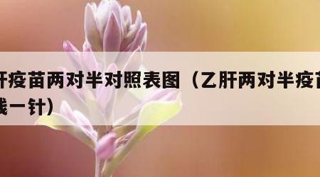 乙肝疫苗两对半对照表图（乙肝两对半疫苗多少钱一针）