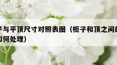 柜子与平顶尺寸对照表图（柜子和顶之间的缝隙如何处理）