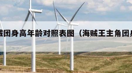 海贼团身高年龄对照表图（海贼王主角团身高）