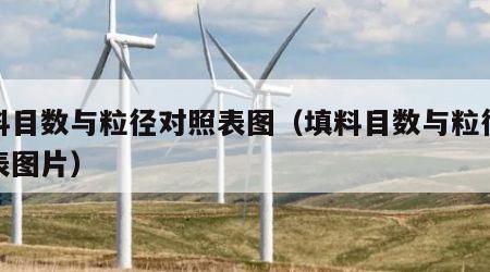 填料目数与粒径对照表图（填料目数与粒径对照表图片）