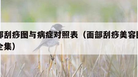 面部刮痧图与病症对照表（面部刮痧美容图片大全集）