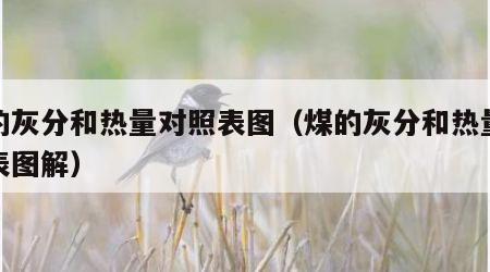 煤的灰分和热量对照表图（煤的灰分和热量对照表图解）