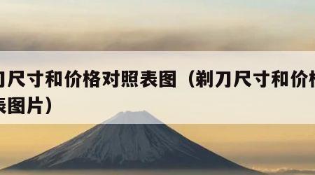 剃刀尺寸和价格对照表图（剃刀尺寸和价格对照表图片）