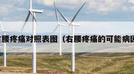 右腰疼痛对照表图（右腰疼痛的可能病因）