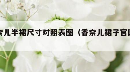 香奈儿半裙尺寸对照表图（香奈儿裙子官网报价）