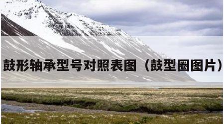 鼓形轴承型号对照表图（鼓型圈图片）