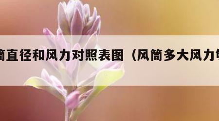 风筒直径和风力对照表图（风筒多大风力够用）