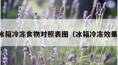 冰箱冷冻食物对照表图（冰箱冷冻效果）
