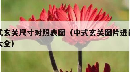 中式玄关尺寸对照表图（中式玄关图片进门效果大全）
