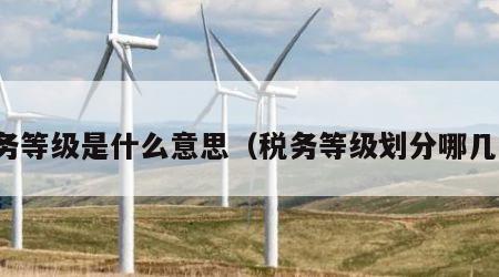 税务等级是什么意思（税务等级划分哪几个）
