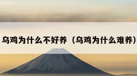 乌鸡为什么不好养（乌鸡为什么难养）