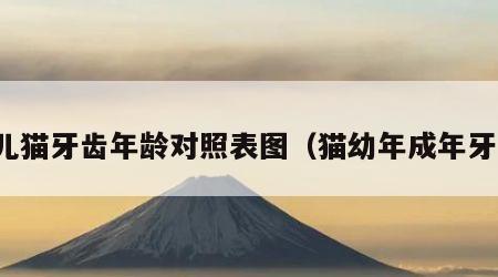 幼儿猫牙齿年龄对照表图（猫幼年成年牙齿）