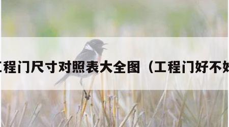 工程门尺寸对照表大全图（工程门好不好）