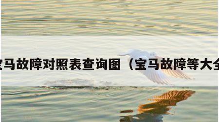 宝马故障对照表查询图（宝马故障等大全）