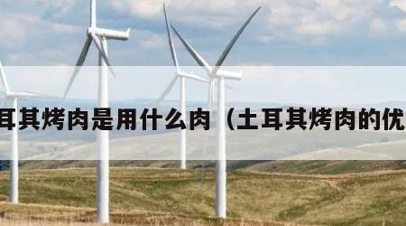 土耳其烤肉是用什么肉（土耳其烤肉的优点）