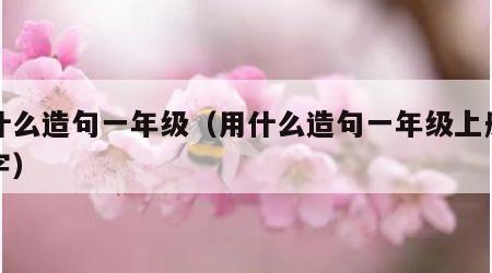 用什么造句一年级（用什么造句一年级上册两个字）