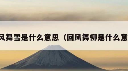 回风舞雪是什么意思（回风舞柳是什么意思）