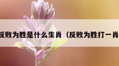反败为胜是什么生肖（反败为胜打一肖）