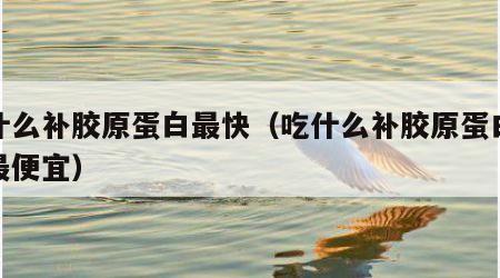 吃什么补胶原蛋白最快（吃什么补胶原蛋白最快最便宜）
