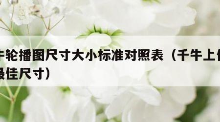 千牛轮播图尺寸大小标准对照表（千牛上传图片最佳尺寸）