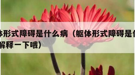 躯体形式障碍是什么病（躯体形式障碍是什么病,解释一下哦）