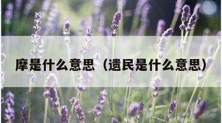 摩是什么意思（遗民是什么意思）