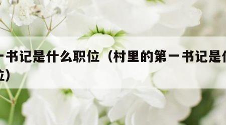 第一书记是什么职位（村里的第一书记是什么职位）