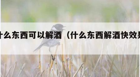 吃什么东西可以解酒（什么东西解酒快效果好）