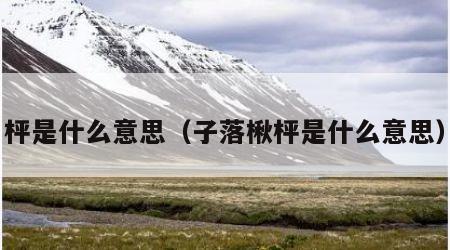 枰是什么意思（子落楸枰是什么意思）