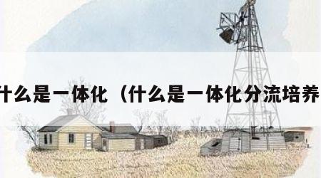 什么是一体化（什么是一体化分流培养）