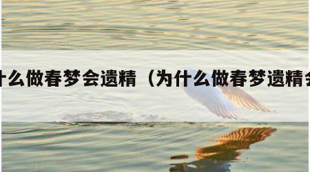 为什么做春梦会遗精（为什么做春梦遗精会秒射）