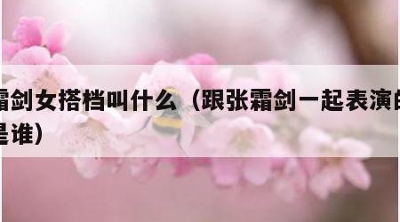 张霜剑女搭档叫什么（跟张霜剑一起表演的女的是谁）