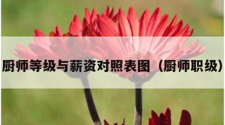 厨师等级与薪资对照表图（厨师职级）