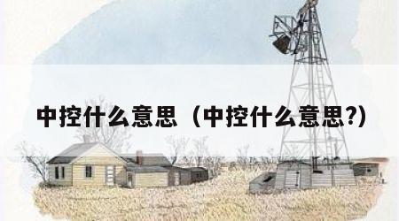 中控什么意思（中控什么意思?）