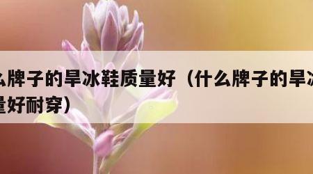 什么牌子的旱冰鞋质量好（什么牌子的旱冰鞋质量好耐穿）
