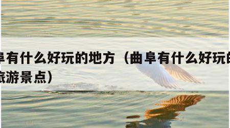 曲阜有什么好玩的地方（曲阜有什么好玩的地方旅游景点）