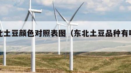 东北土豆颜色对照表图（东北土豆品种有哪些）