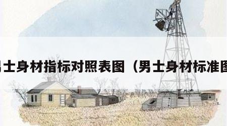 男士身材指标对照表图（男士身材标准图）