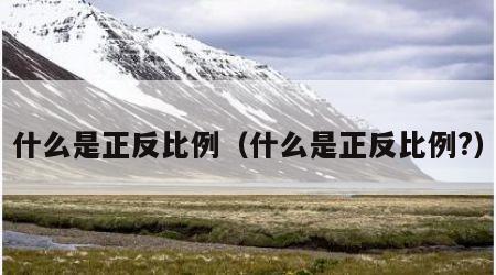 什么是正反比例（什么是正反比例?）