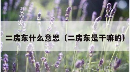 二房东什么意思（二房东是干嘛的）