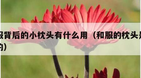 和服背后的小枕头有什么用（和服的枕头是干嘛的）