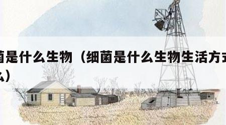 细菌是什么生物（细菌是什么生物生活方式是什么）