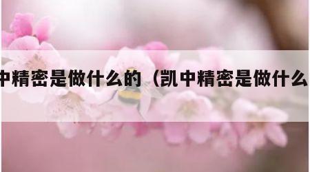 凯中精密是做什么的（凯中精密是做什么的?）
