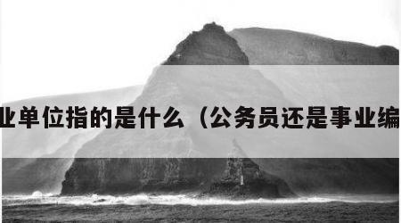 事业单位指的是什么（公务员还是事业编好）