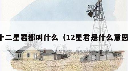 十二星君都叫什么（12星君是什么意思）